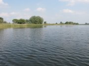 IMG_0174.jpg