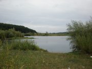 P1010238.JPG