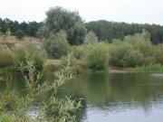 P1010240.JPG