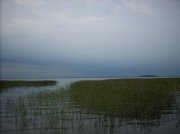 DSCN4299.jpg