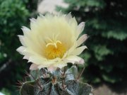DSC04279.jpg