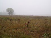 P1010008.JPG