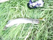 04.09-4.jpg
