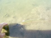 04.09-6.jpg
