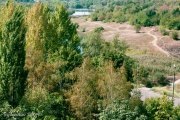 IMG_0296.jpg