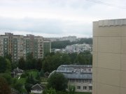 IMG_5129.jpg