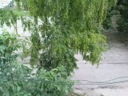 DSC00531.JPG