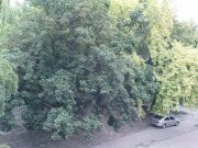 DSC00532.JPG