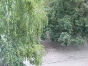 DSC00533.JPG