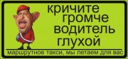 264.jpg