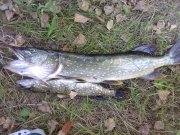 06092009019.jpg