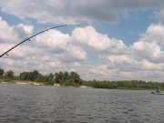 IMG_9054.JPG