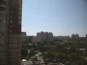 IMG_3016.jpg