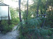 DSC00395.JPG