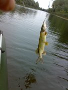 07092009712.jpg