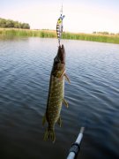 IMG_0279.jpg