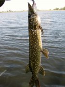 IMG_0280.jpg