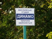 IMG_0288.jpg