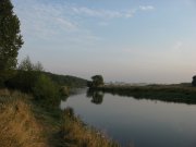 IMG_5146.jpg