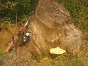 IMG_5145.jpg