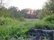 IMG_5148.jpg