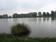 IMG_5152.jpg