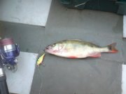 DSC00433.jpg