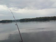 DSC00431.JPG