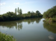 DSCN4411.jpg