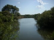 DSCN4412.jpg