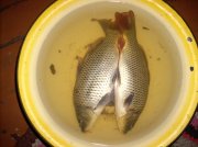 DSCN4462.jpg