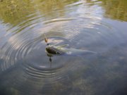 DSC00472.JPG