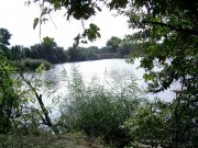 18.09-1.jpg