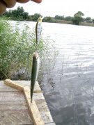 18.09-4.jpg