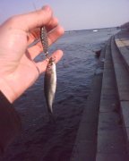 090424_172831.jpg