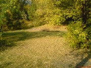 DSC00022.JPG