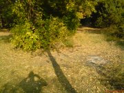 DSC00024.JPG
