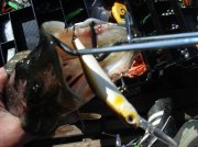 DSC04668.jpg