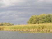 P9262050.jpg