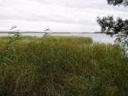 IMG_0373.jpg