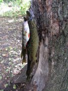 IMG_0377.jpg