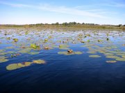 IMG_0383.jpg