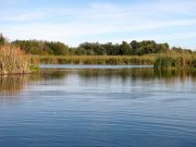 IMG_0392.jpg