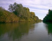 Фото000.jpg