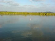 DSC02906.JPG