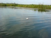 DSC02905.JPG