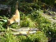 DSC02911.JPG