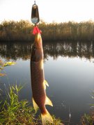 IMG_8700.JPG