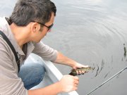 IMG_6680.JPG
