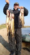 DSC03637.jpg